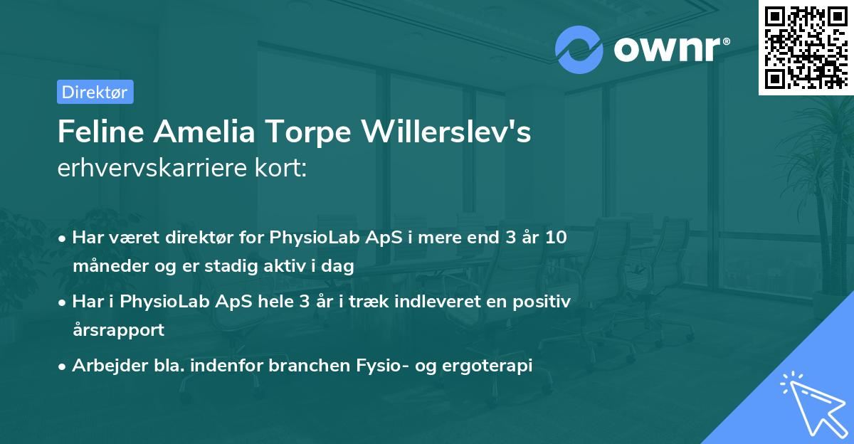 Feline Amelia Torpe Willerslev's erhvervskarriere kort