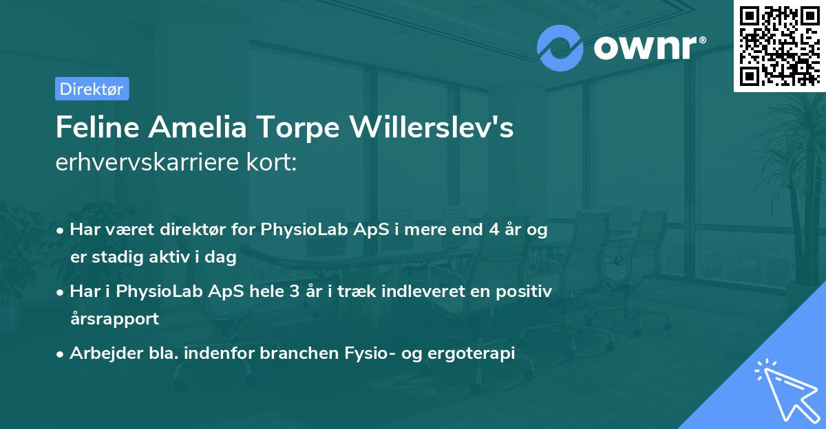 Feline Amelia Torpe Willerslev's erhvervskarriere kort