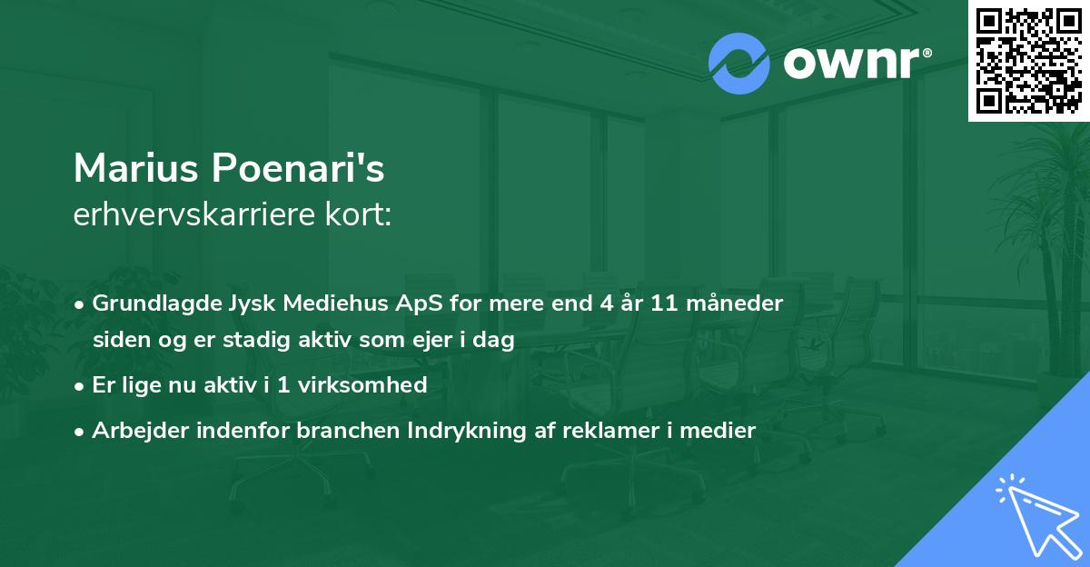Marius Poenari's erhvervskarriere kort