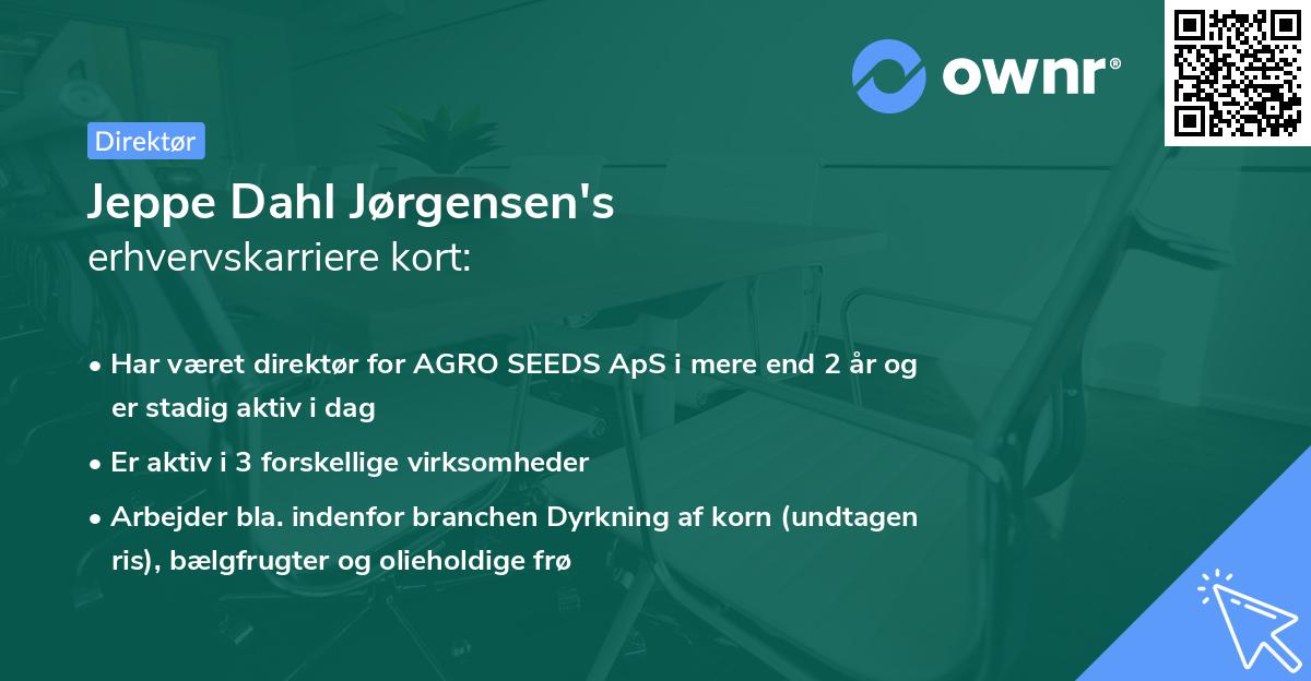 Jeppe Dahl Jørgensen's erhvervskarriere kort