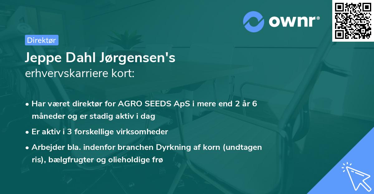 Jeppe Dahl Jørgensen's erhvervskarriere kort