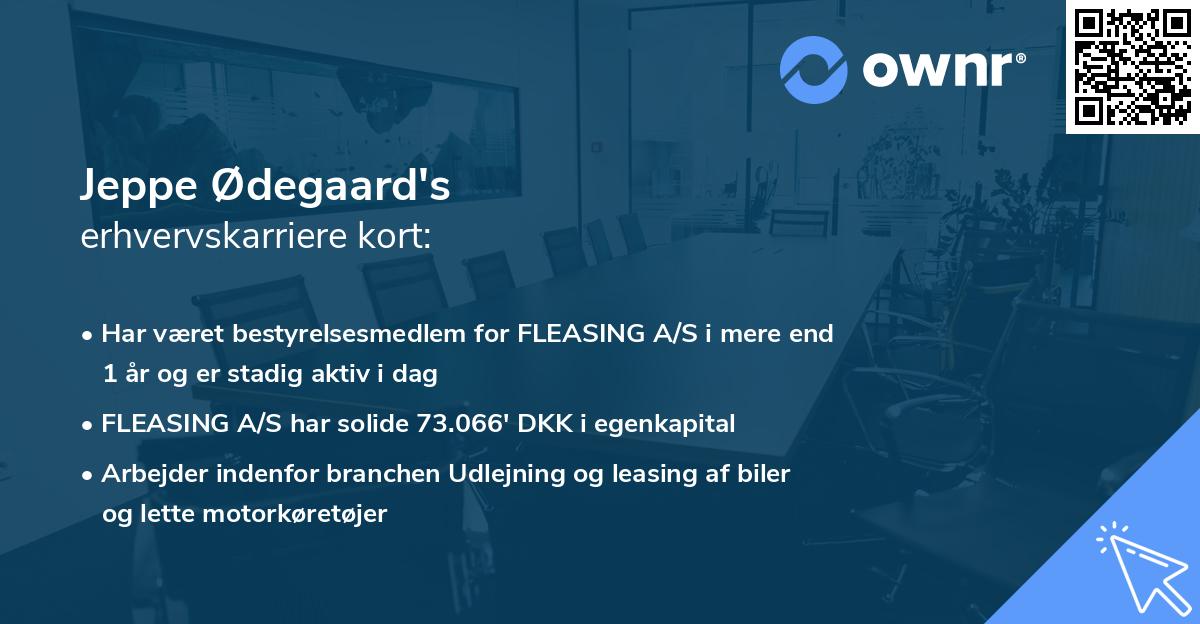 Jeppe Ødegaard's erhvervskarriere kort