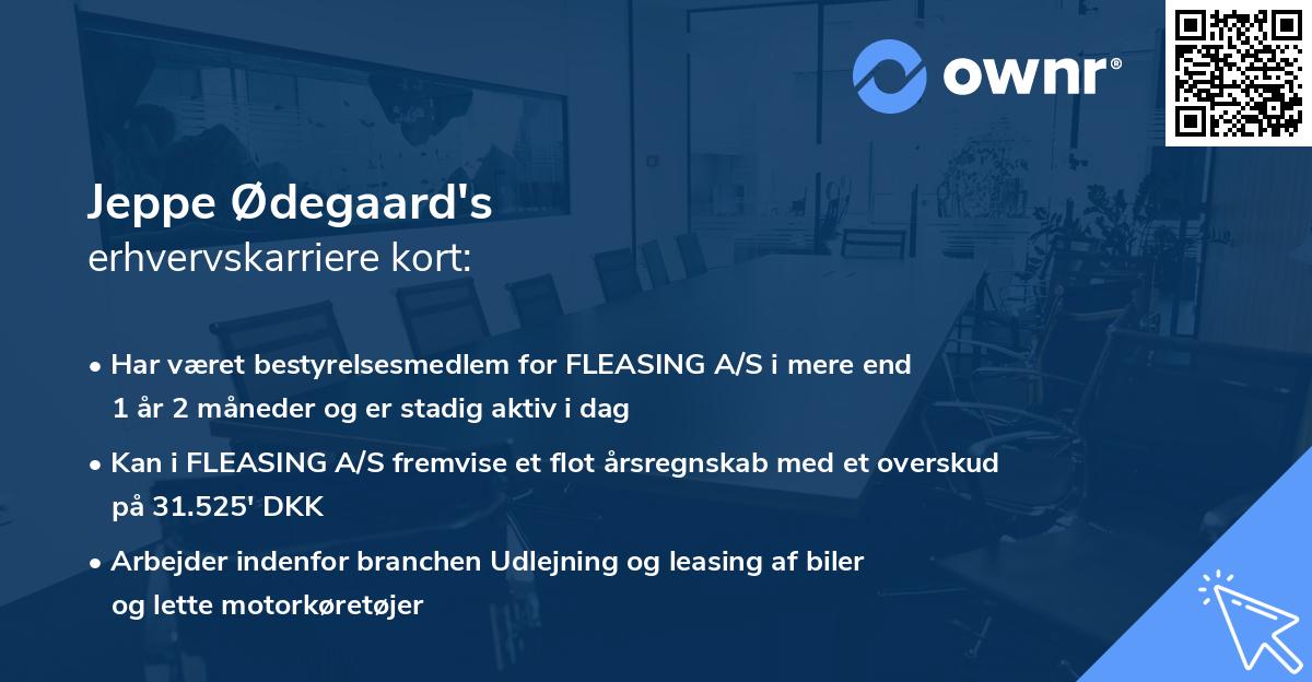 Jeppe Ødegaard's erhvervskarriere kort