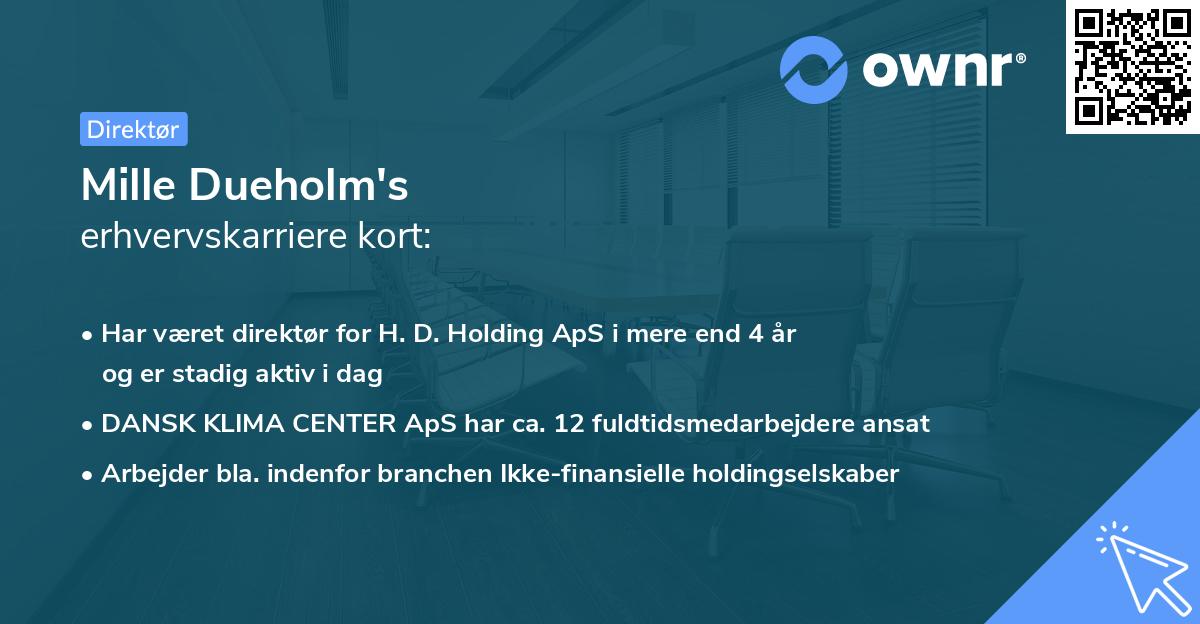 Mille Dueholm's erhvervskarriere kort
