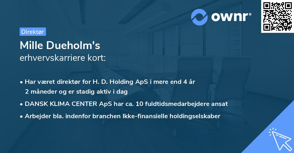 Mille Dueholm's erhvervskarriere kort