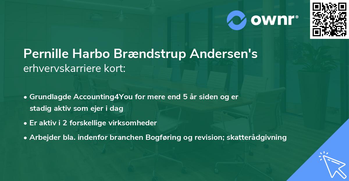 Pernille Harbo Brændstrup Andersen's erhvervskarriere kort