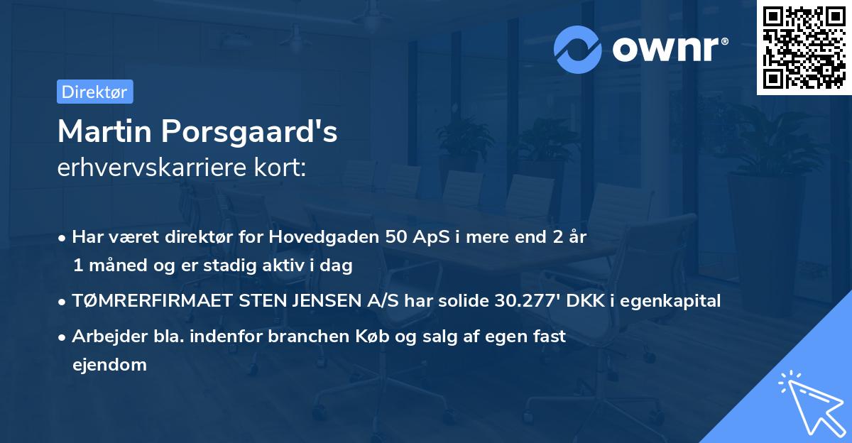 Martin Porsgaard's erhvervskarriere kort