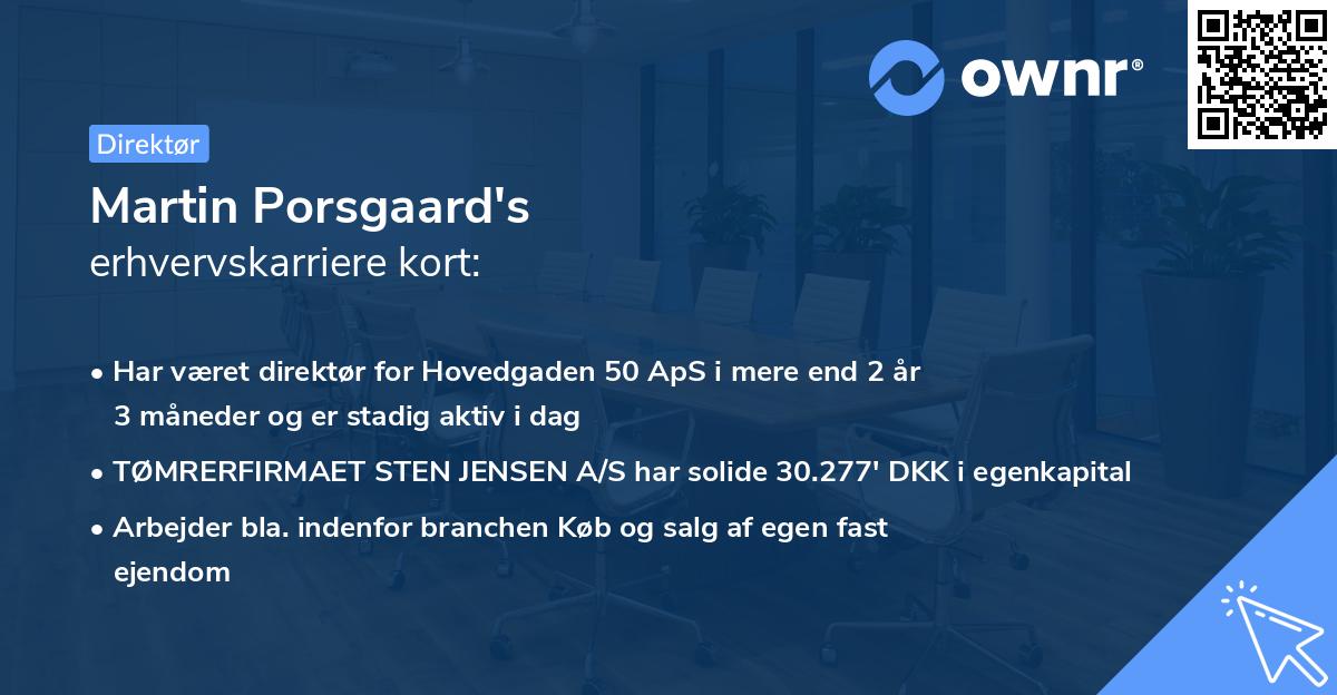 Martin Porsgaard's erhvervskarriere kort