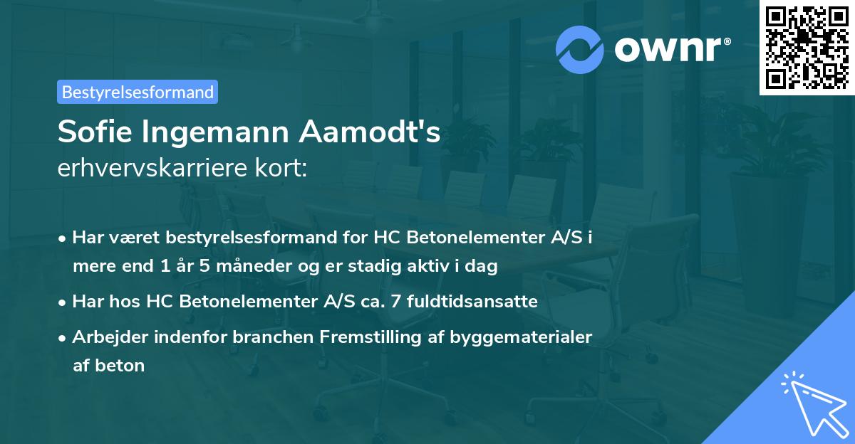 Sofie Ingemann Aamodt's erhvervskarriere kort