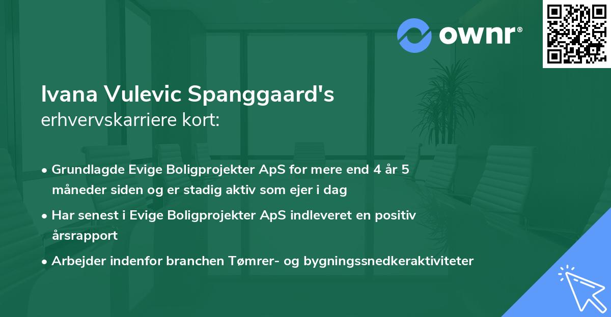 Ivana Vulevic Spanggaard's erhvervskarriere kort
