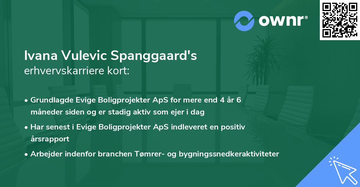 Ivana Vulevic Spanggaard's erhvervskarriere kort