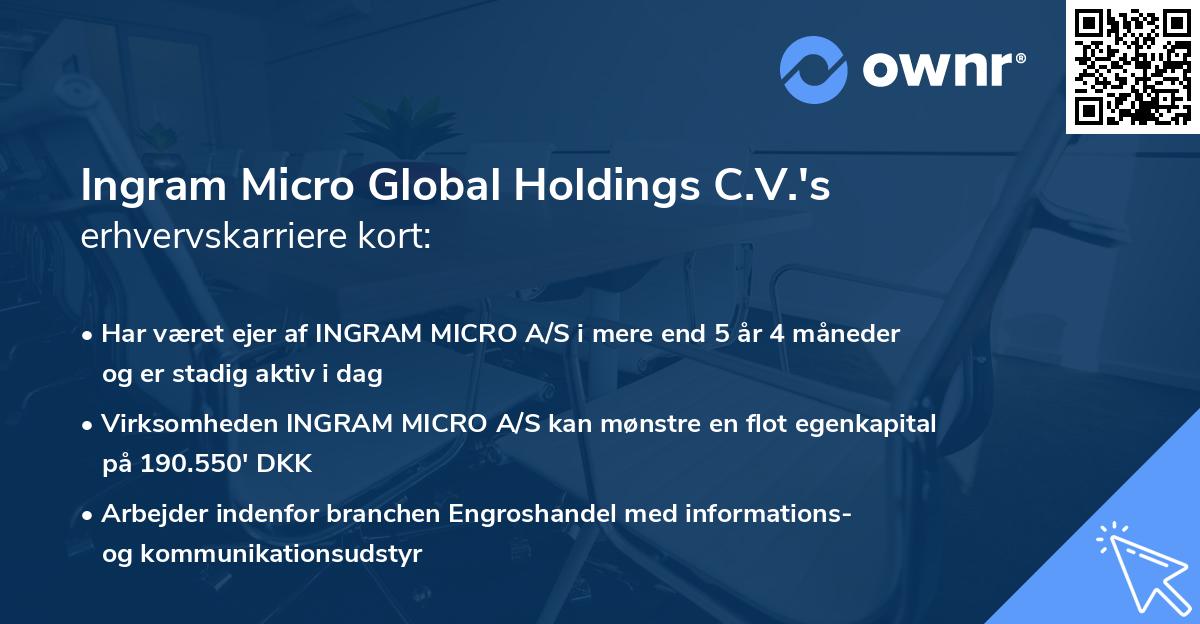 Ingram Micro Global Holdings C.V.'s erhvervskarriere kort