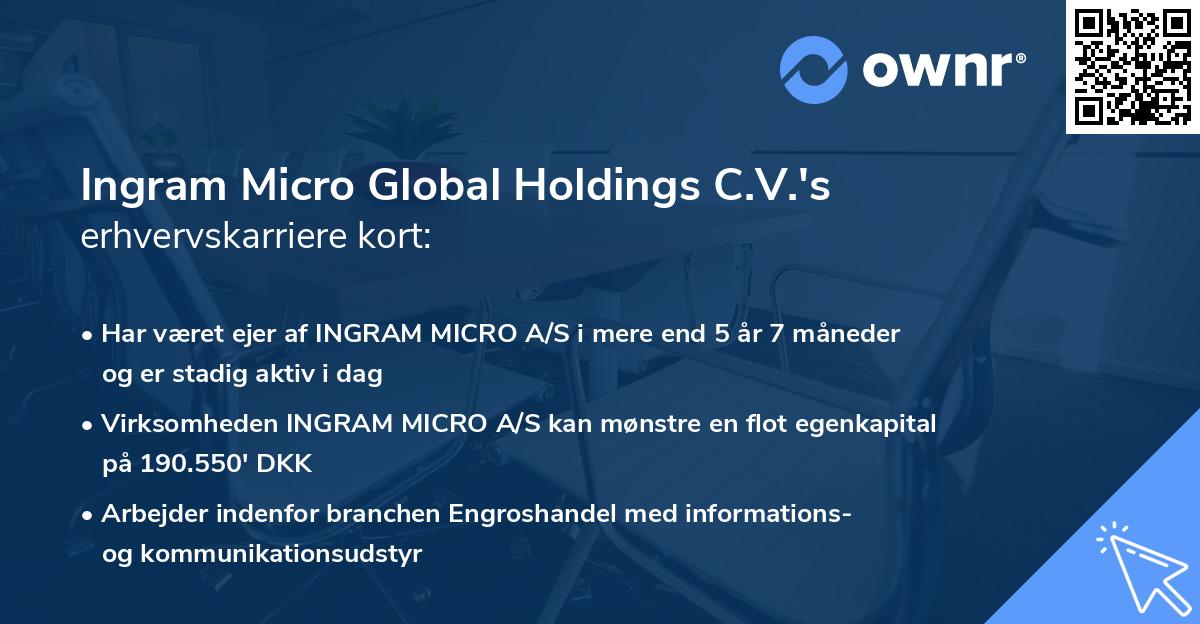 Ingram Micro Global Holdings C.V.'s erhvervskarriere kort