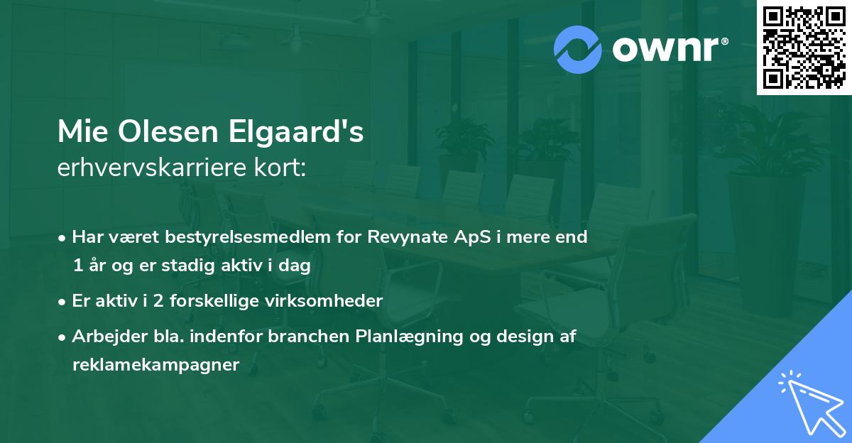 Mie Olesen Elgaard's erhvervskarriere kort