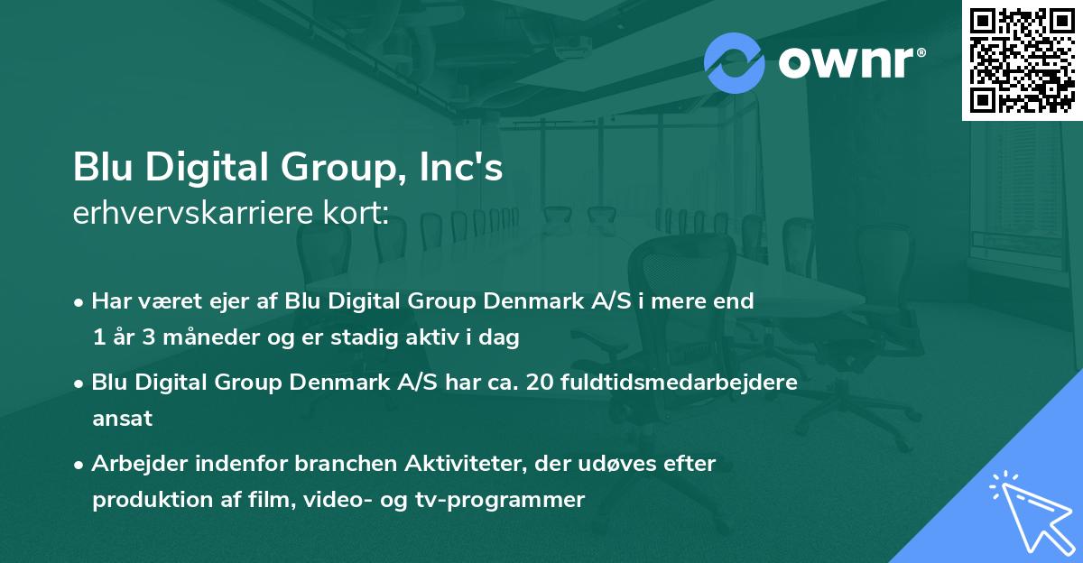 Blu Digital Group, Inc's erhvervskarriere kort