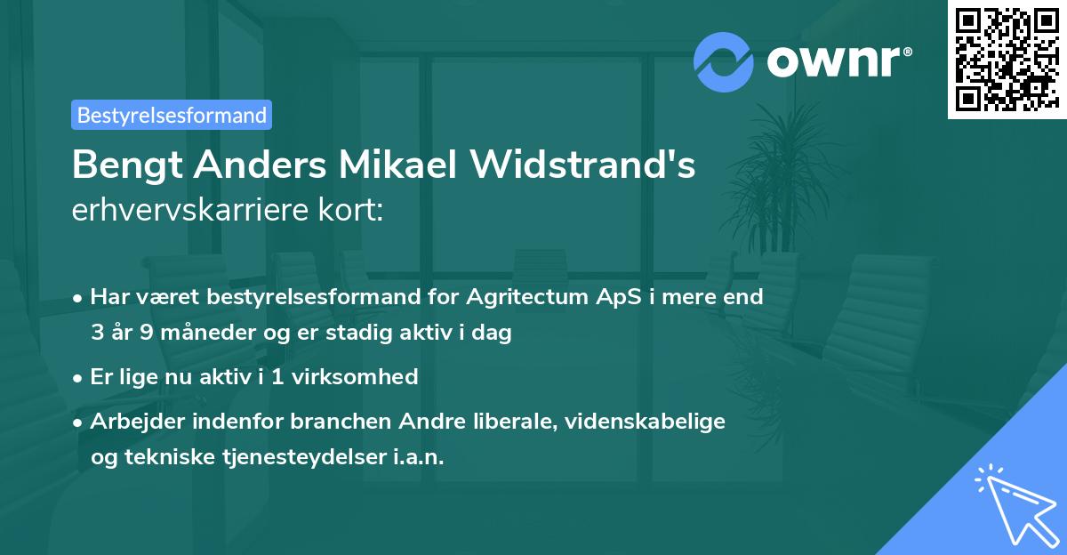 Bengt Anders Mikael Widstrand's erhvervskarriere kort