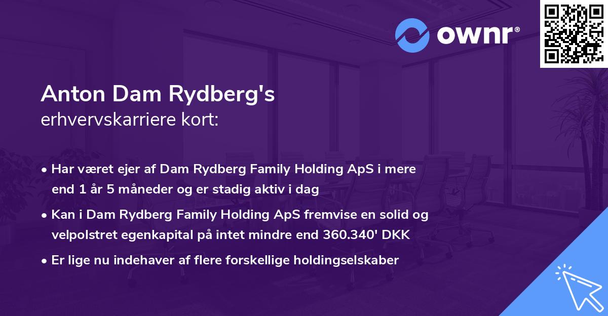 Anton Dam Rydberg's erhvervskarriere kort