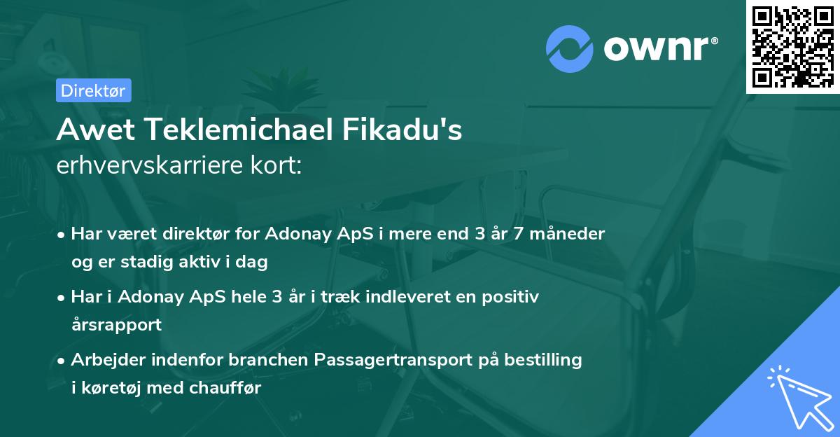 Awet Teklemichael Fikadu's erhvervskarriere kort