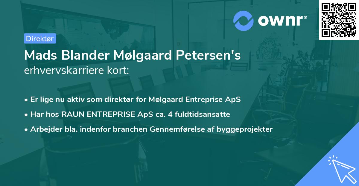 Mads Blander Mølgaard Petersen's erhvervskarriere kort