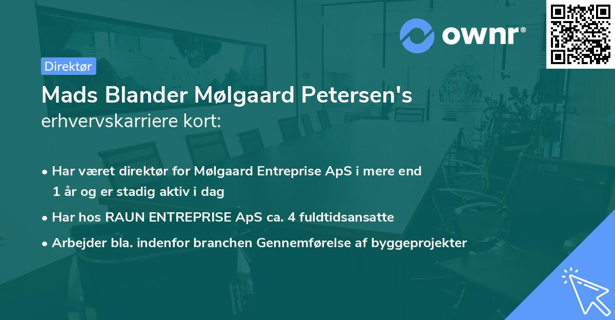 Mads Blander Mølgaard Petersen's erhvervskarriere kort