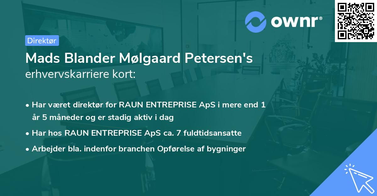 Mads Blander Mølgaard Petersen's erhvervskarriere kort