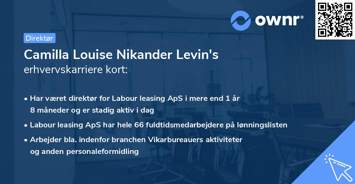 Camilla Louise Nikander Levin's erhvervskarriere kort