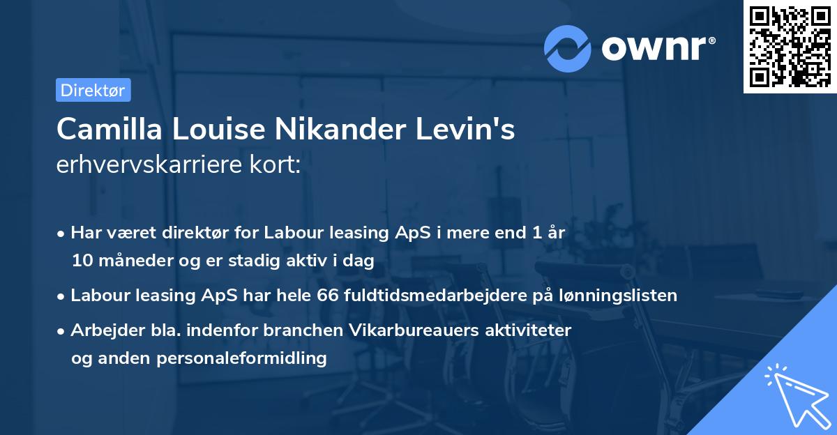 Camilla Louise Nikander Levin's erhvervskarriere kort