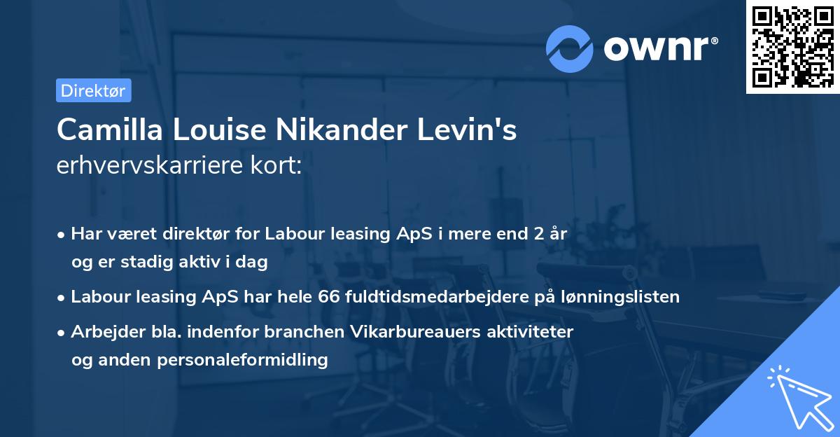 Camilla Louise Nikander Levin's erhvervskarriere kort