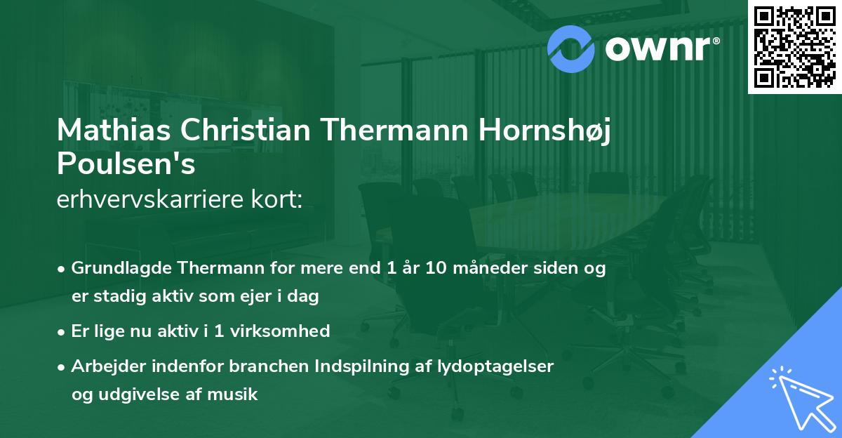 Mathias Christian Thermann Hornshøj Poulsen's erhvervskarriere kort