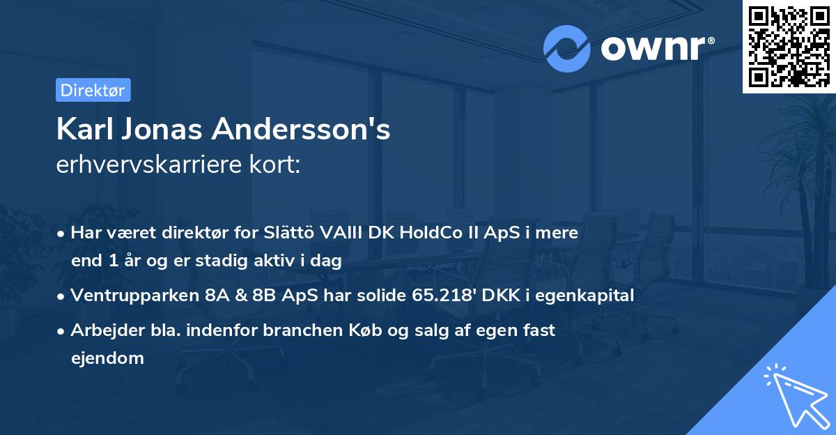 Karl Jonas Andersson's erhvervskarriere kort