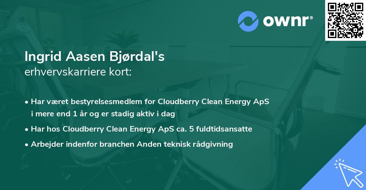 Ingrid Aasen Bjørdal's erhvervskarriere kort