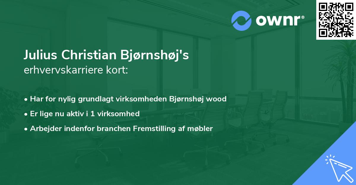 Julius Christian Bjørnshøj's erhvervskarriere kort
