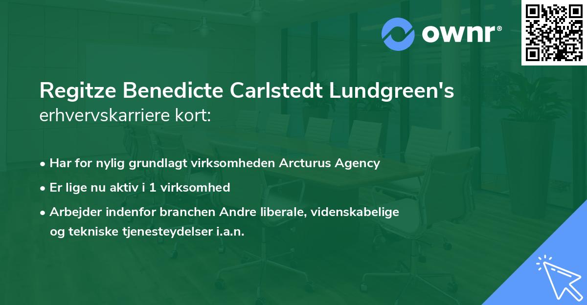 Regitze Benedicte Carlstedt Lundgreen's erhvervskarriere kort