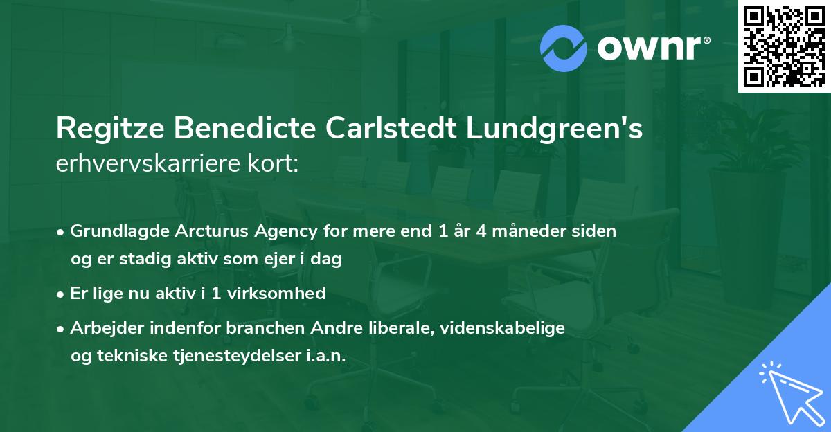 Regitze Benedicte Carlstedt Lundgreen's erhvervskarriere kort