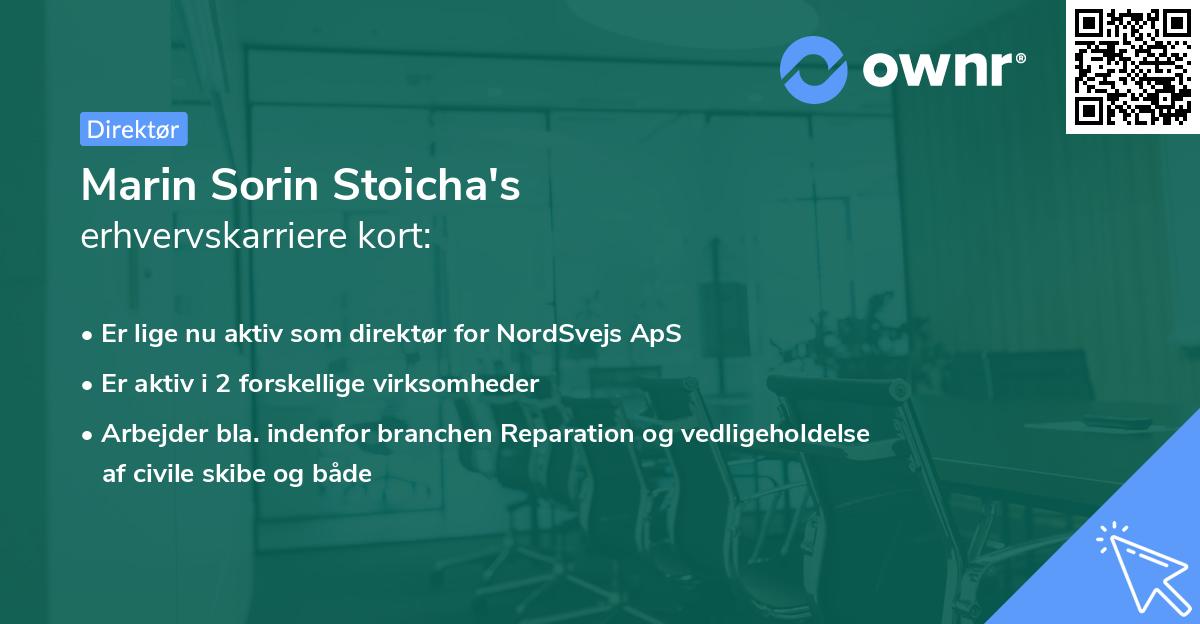 Marin Sorin Stoicha's erhvervskarriere kort