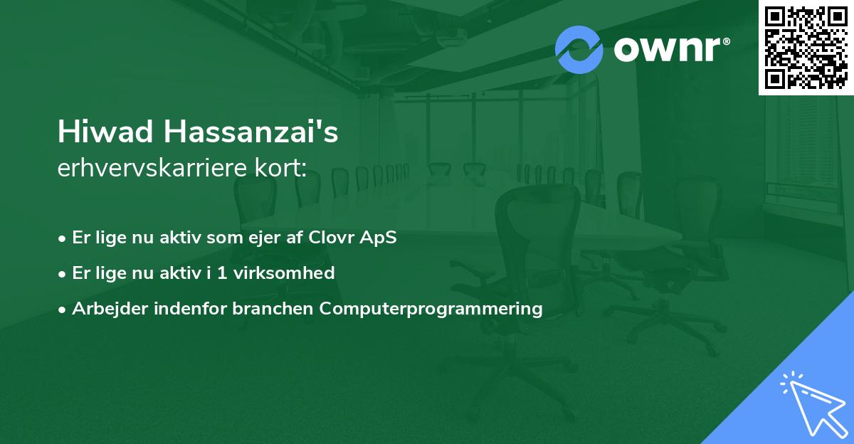Hiwad Hassanzai's erhvervskarriere kort