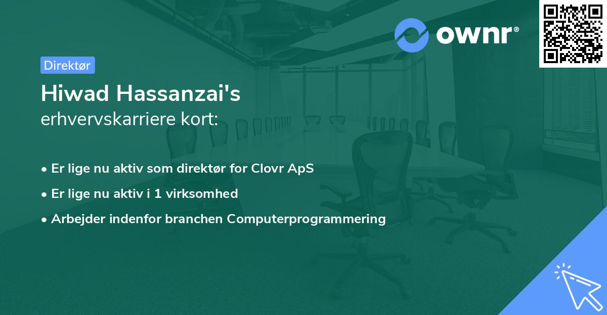 Hiwad Hassanzai's erhvervskarriere kort