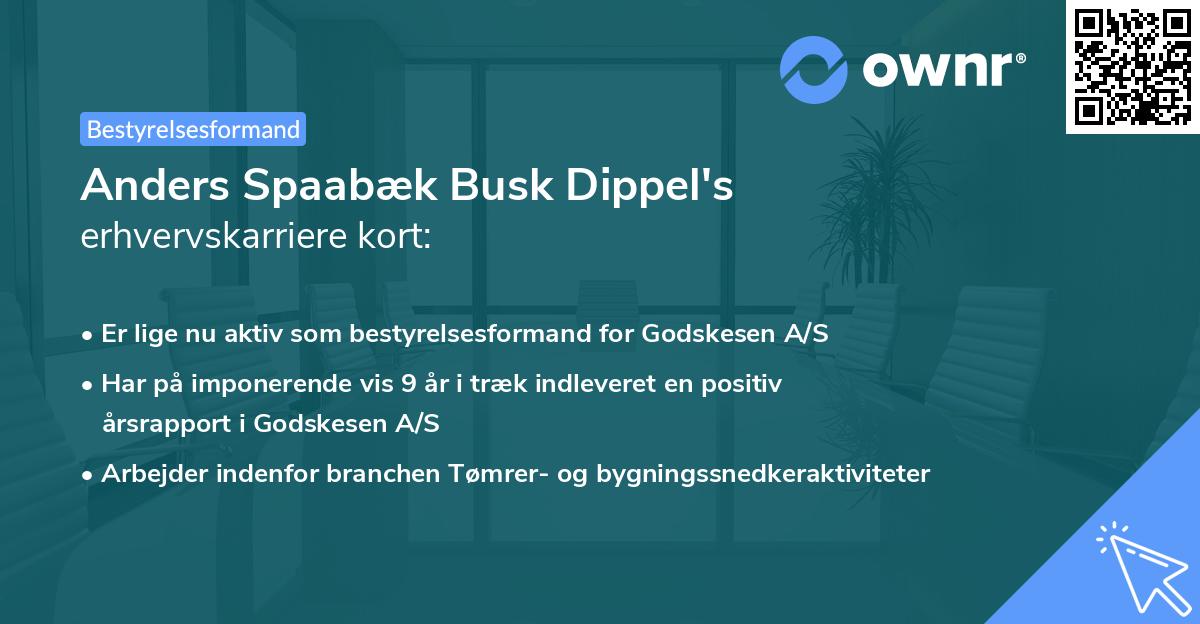 Anders Spaabæk Busk Dippel's erhvervskarriere kort
