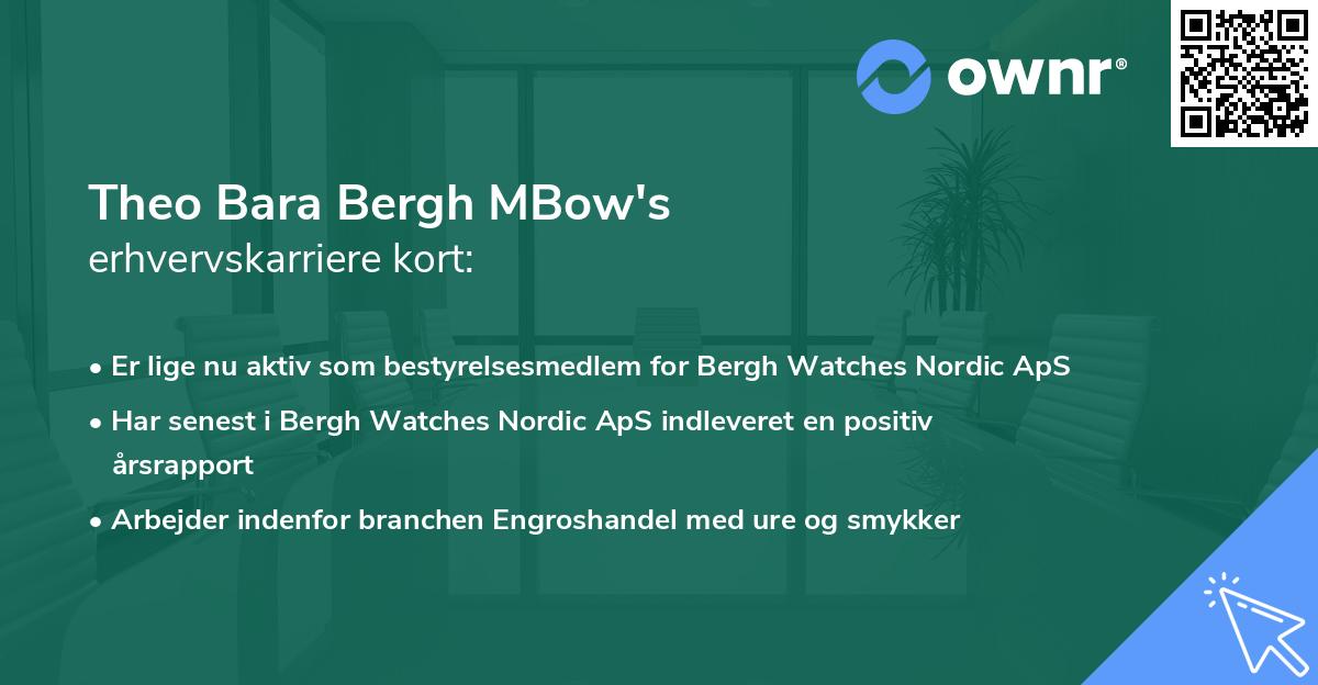 Theo Bara Bergh MBow's erhvervskarriere kort