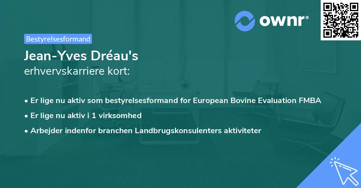 Jean-Yves Dréau's erhvervskarriere kort