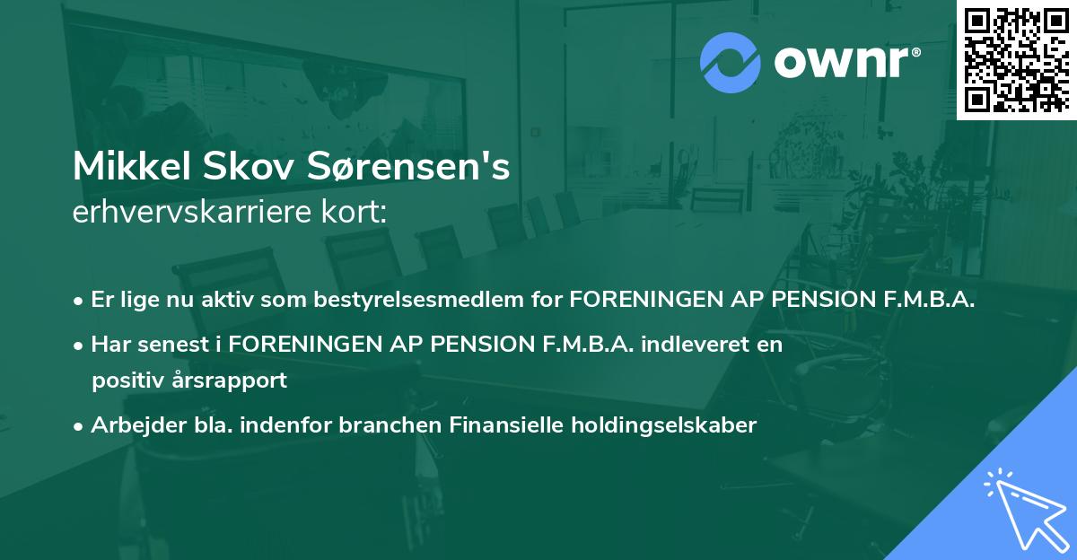 Mikkel Skov Sørensen's erhvervskarriere kort