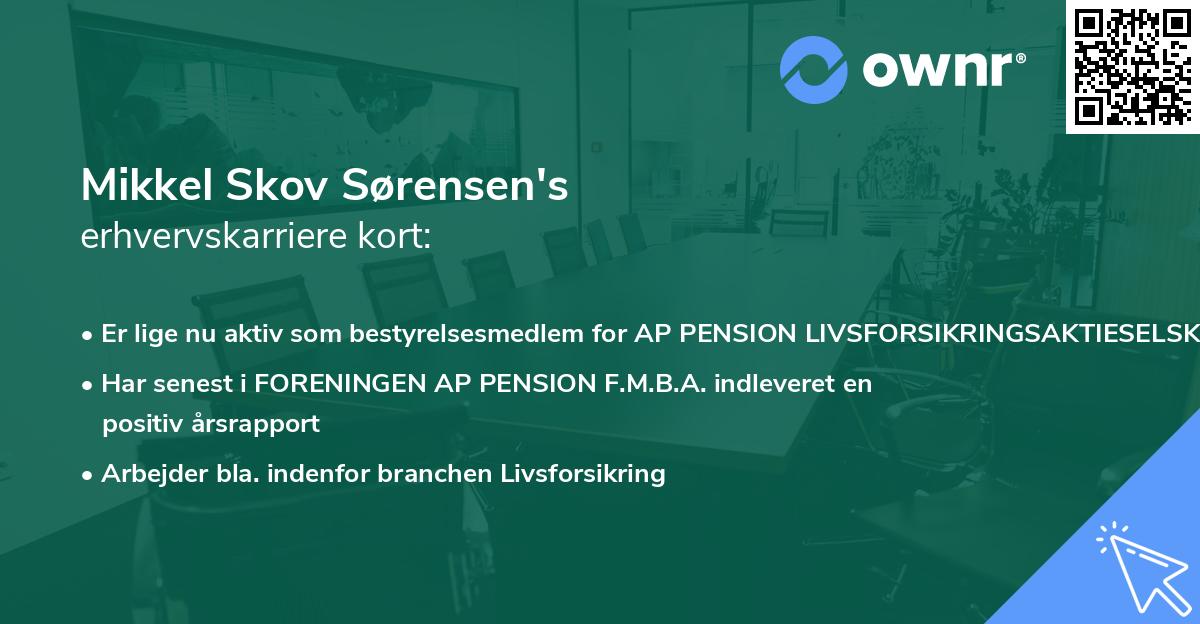 Mikkel Skov Sørensen's erhvervskarriere kort