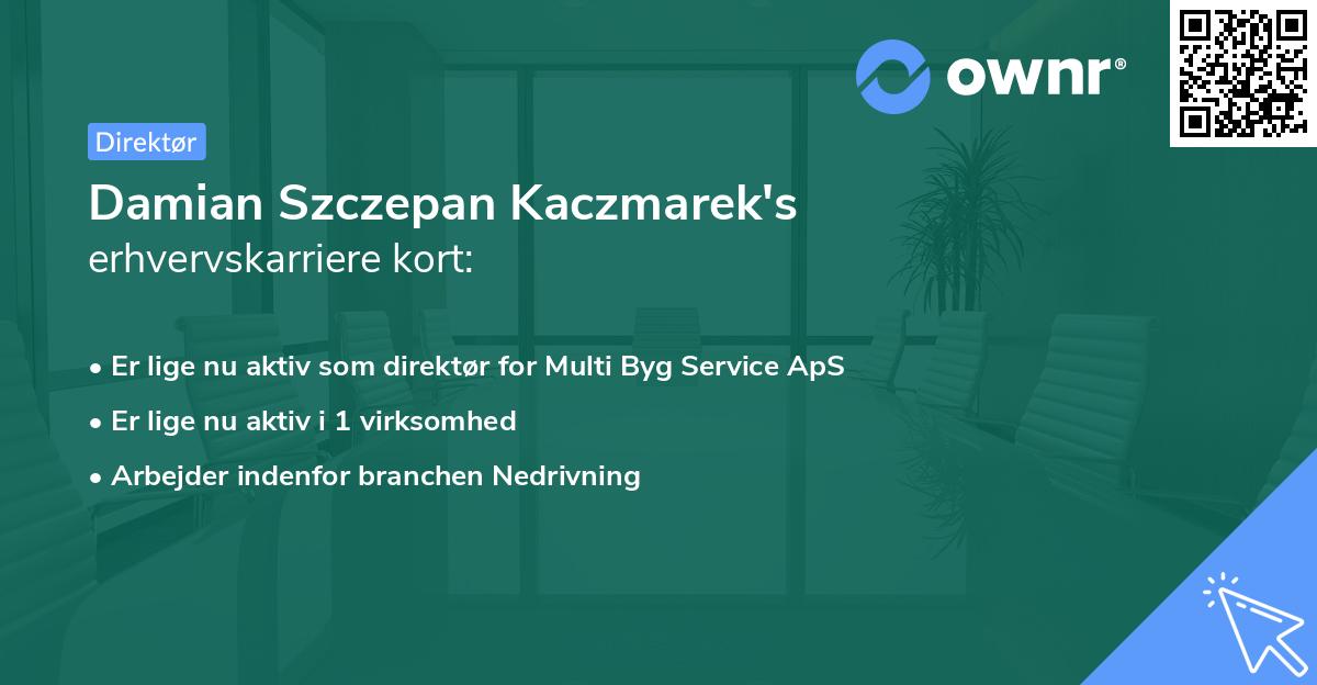 Damian Szczepan Kaczmarek's erhvervskarriere kort