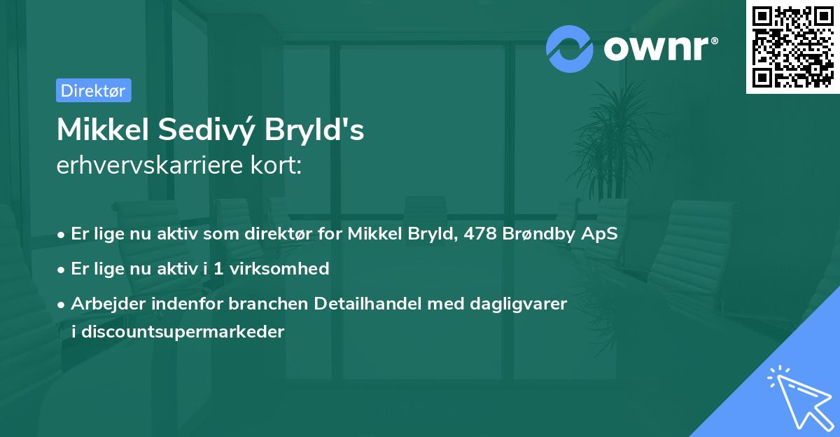 Mikkel Sedivý Bryld's erhvervskarriere kort