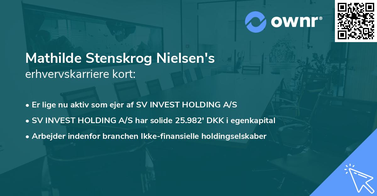 Mathilde Stenskrog Nielsen's erhvervskarriere kort