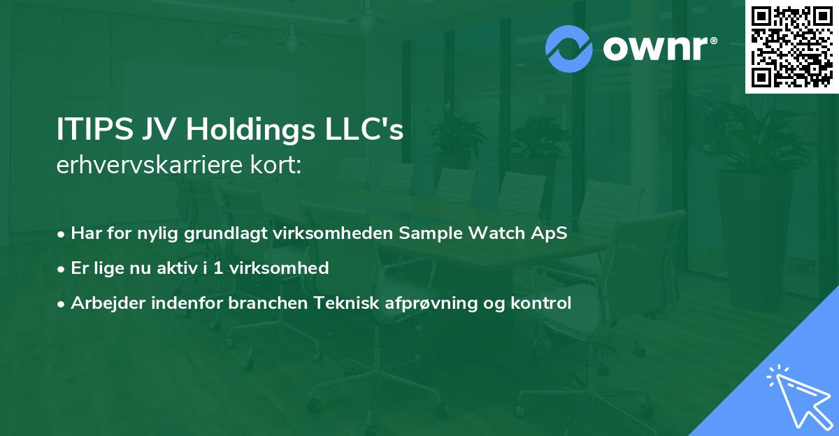 ITIPS JV Holdings LLC's erhvervskarriere kort