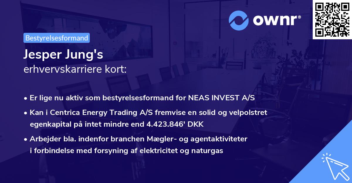 Jesper Jung's erhvervskarriere kort
