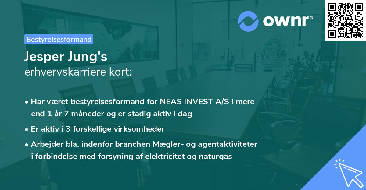 Jesper Jung's erhvervskarriere kort