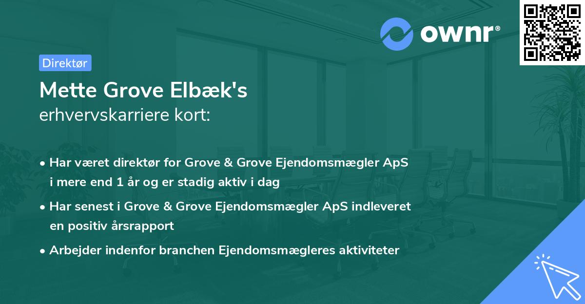Mette Grove Elbæk's erhvervskarriere kort