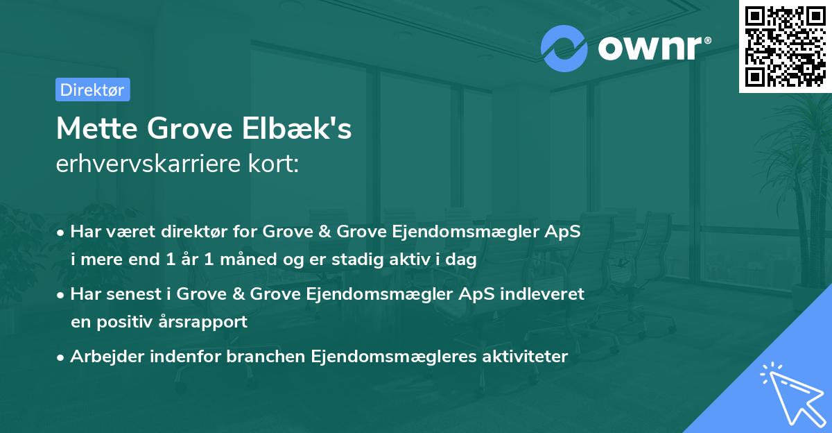 Mette Grove Elbæk's erhvervskarriere kort